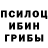 Галлюциногенные грибы ЛСД Kadir Yasar