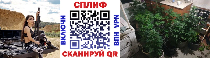 Шишки марихуана AK-47  Купить где  Фатеж 